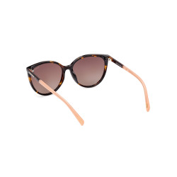 Gafas de Sol SE6169