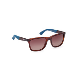 Gafas de Sol SE6221