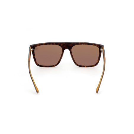 Gafas de Sol TB9253