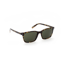 Gafas de sol EZ0181