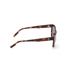 Gafas de sol EZ0196