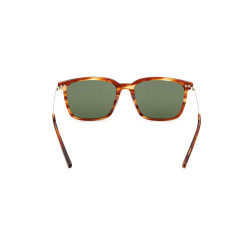 Gafas de sol EZ0206