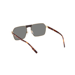 Gafas de sol EZ0210