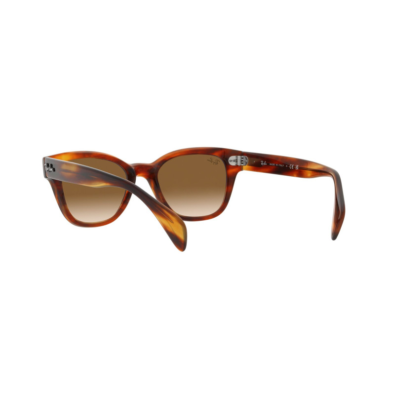 Gafas de sol RB0880S