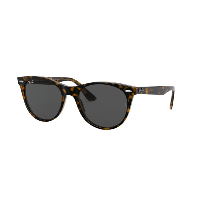 Gafas de sol RB2185 WAYFARER II