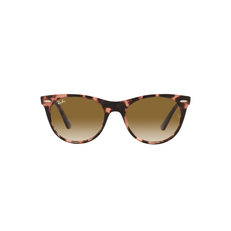 Gafas de sol RB2185 WAYFARER II