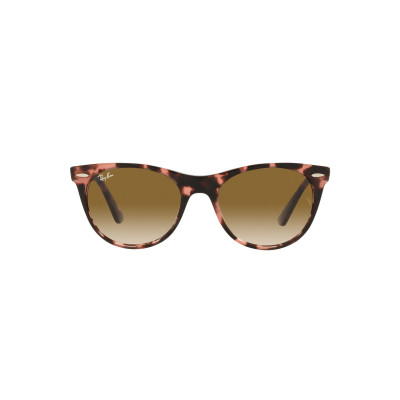 Gafas de sol RB2185 WAYFARER II