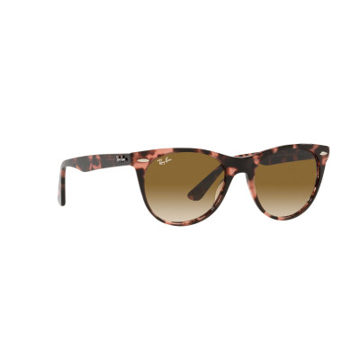 Gafas de sol RB2185 WAYFARER II