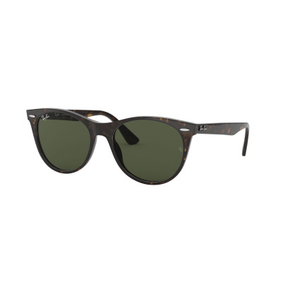 Gafas de sol RB2185 WAYFARER II