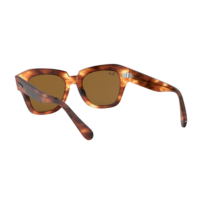 Gafas de sol RB2186 STATE STREET