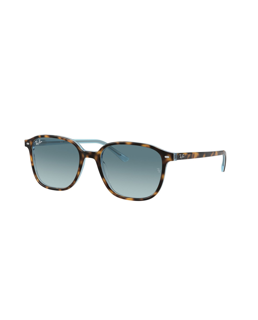 Gafas de sol RB2193 LEONARD