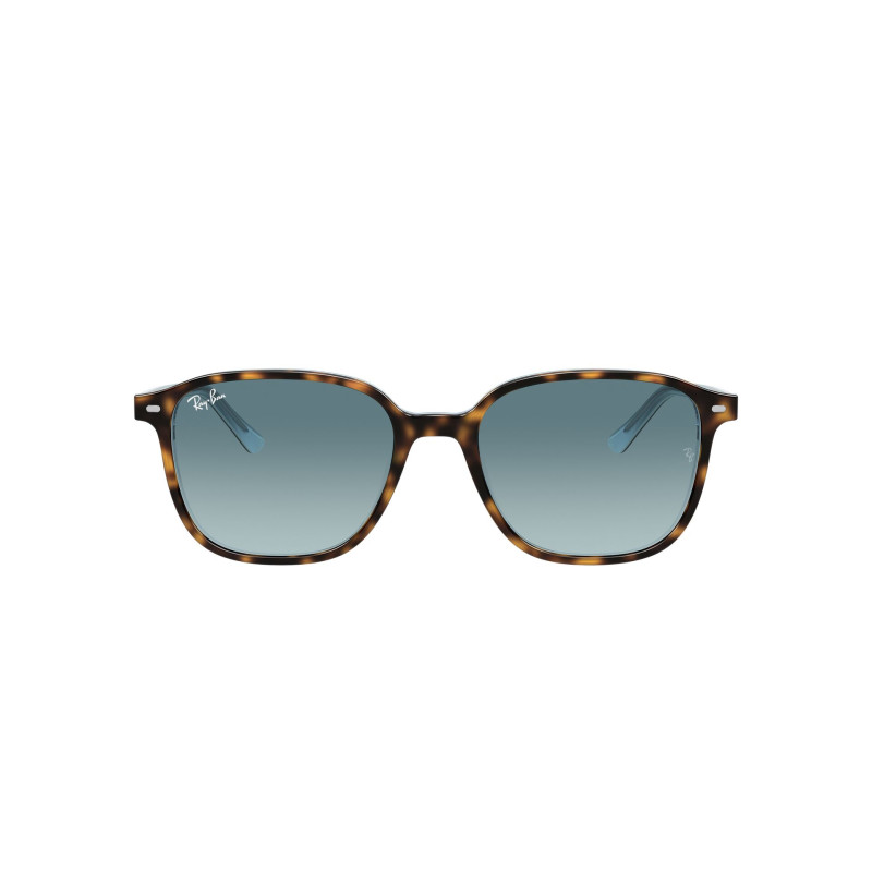 Gafas de sol RB2193 LEONARD