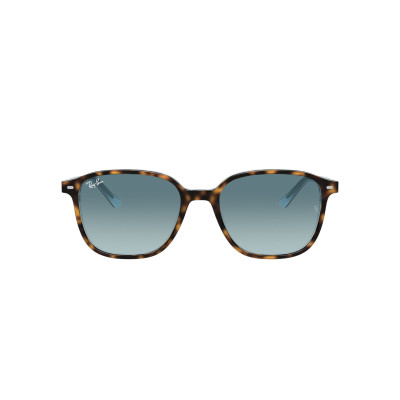 Gafas de sol RB2193 LEONARD