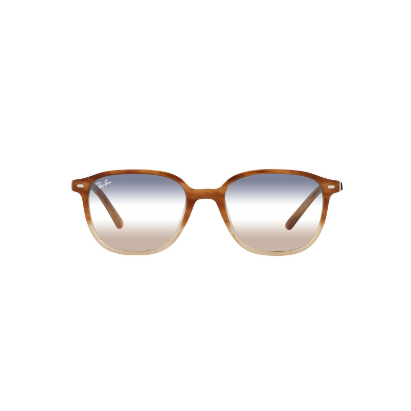 Gafas de sol RB2193 LEONARD