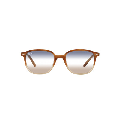 Gafas de sol RB2193 LEONARD