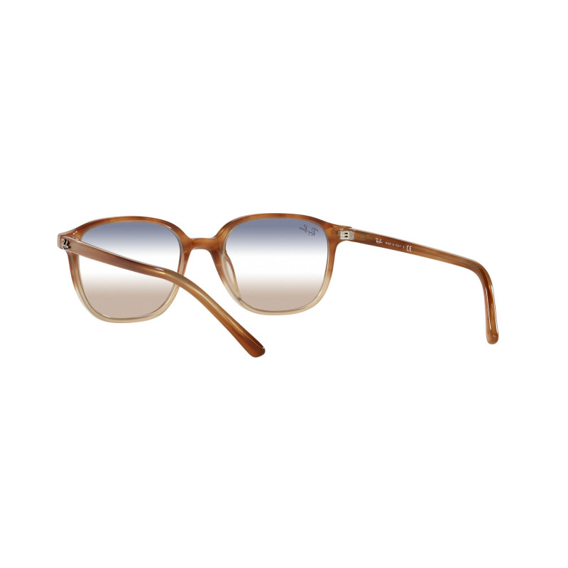 Gafas de sol RB2193 LEONARD
