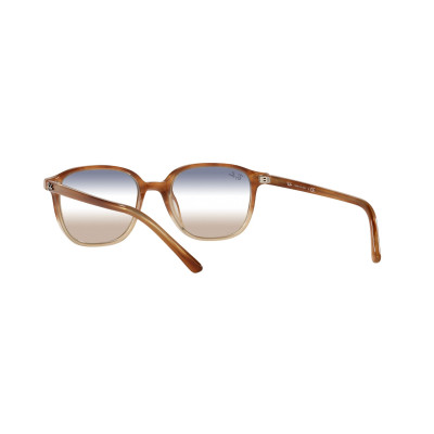 Gafas de sol RB2193 LEONARD