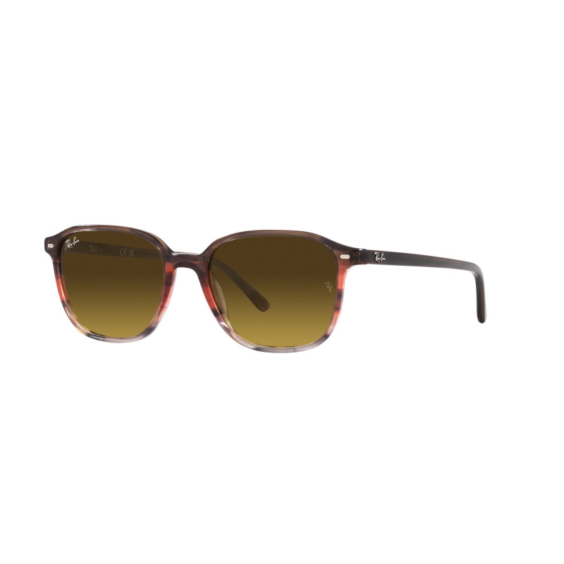 Gafas de sol RB2193 LEONARD