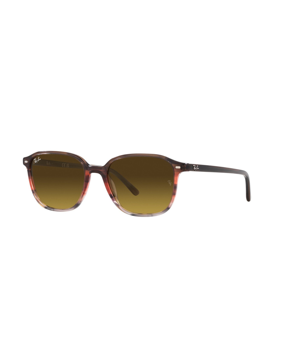 Gafas de sol RB2193 LEONARD