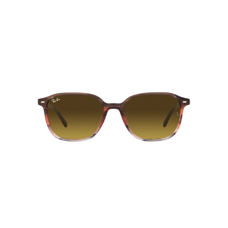 Gafas de sol RB2193 LEONARD