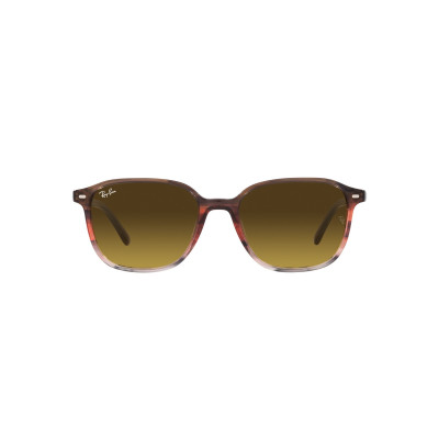 Gafas de sol RB2193 LEONARD