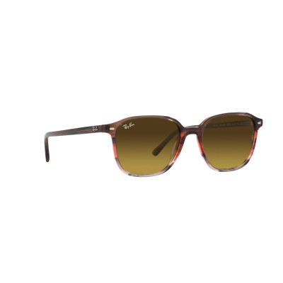 Gafas de sol RB2193 LEONARD