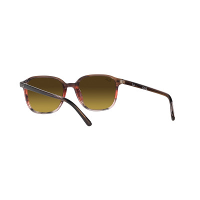 Gafas de sol RB2193 LEONARD