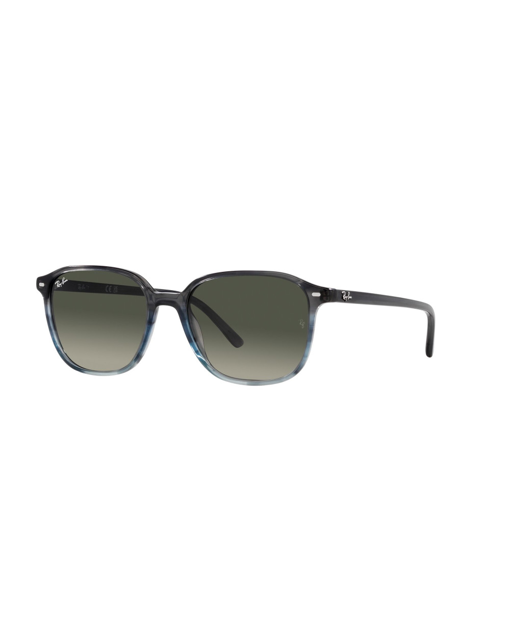 Gafas de sol RB2193 LEONARD