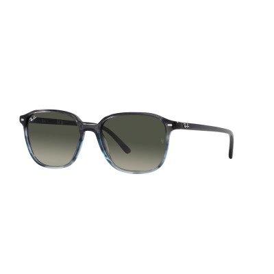 Gafas de sol RB2193 LEONARD