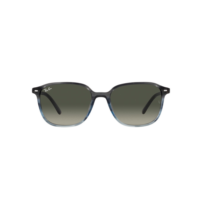 Gafas de sol RB2193 LEONARD