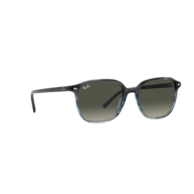 Gafas de sol RB2193 LEONARD