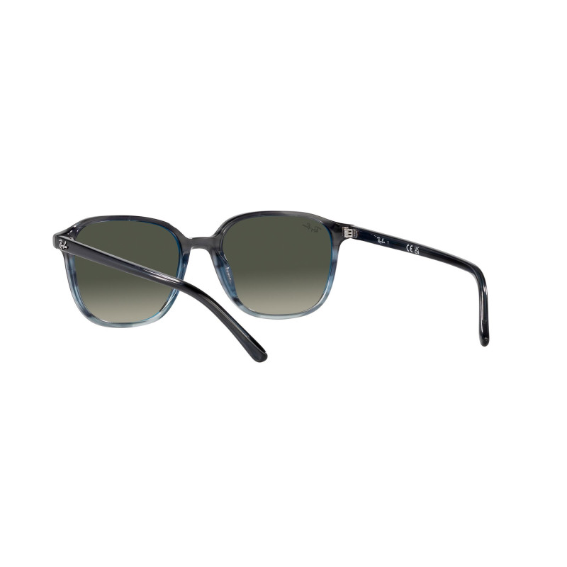 Gafas de sol RB2193 LEONARD