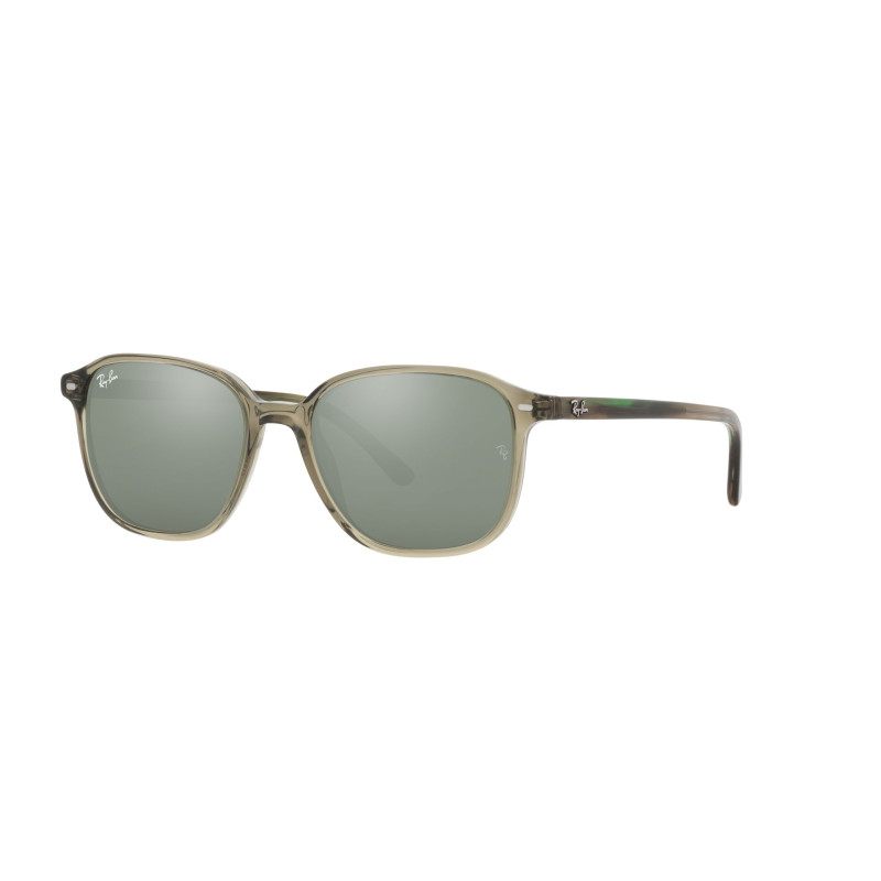 Gafas de sol RB2193 LEONARD
