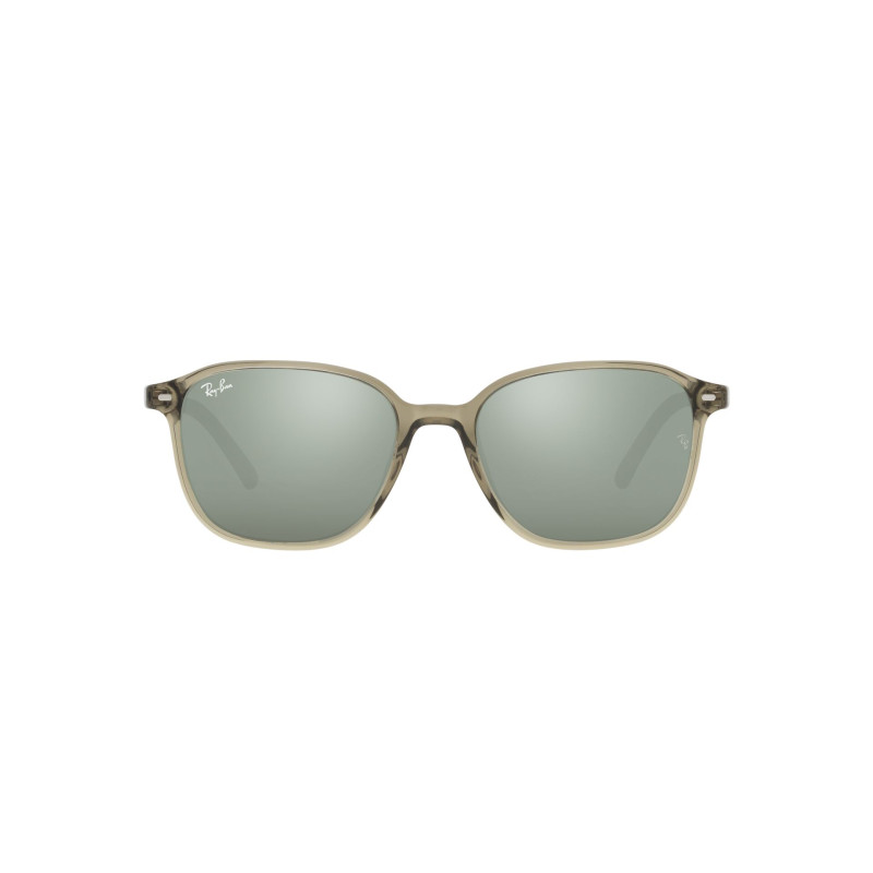 Gafas de sol RB2193 LEONARD