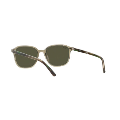 Gafas de sol RB2193 LEONARD