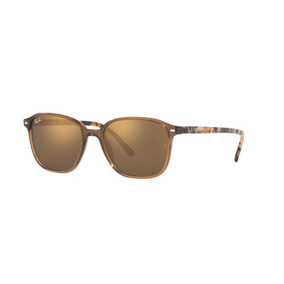 Gafas de sol RB2193 LEONARD