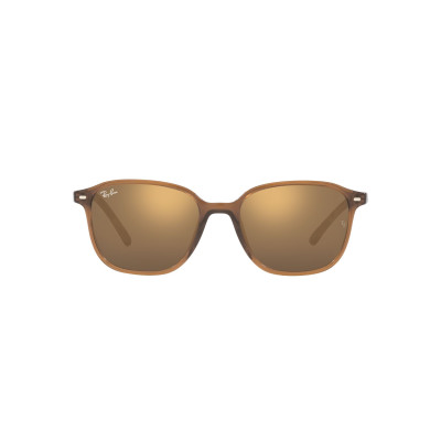Gafas de sol RB2193 LEONARD