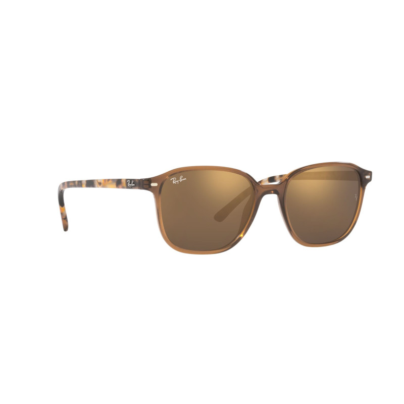 Gafas de sol RB2193 LEONARD