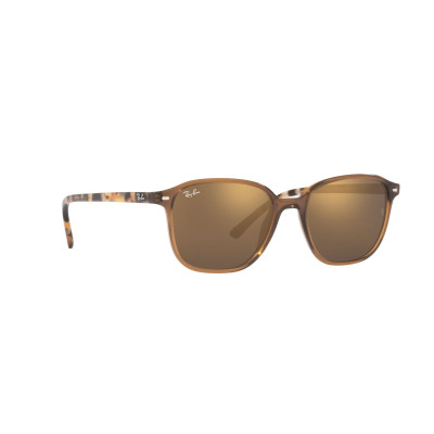 Gafas de sol RB2193 LEONARD