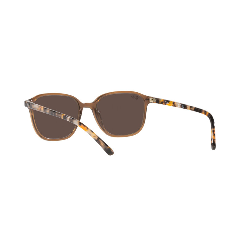 Gafas de sol RB2193 LEONARD
