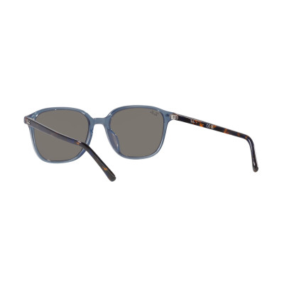 Gafas de sol RB2193 LEONARD