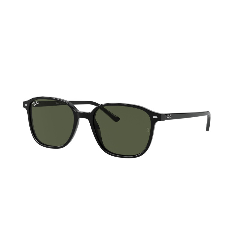 Gafas de sol RB2193 LEONARD