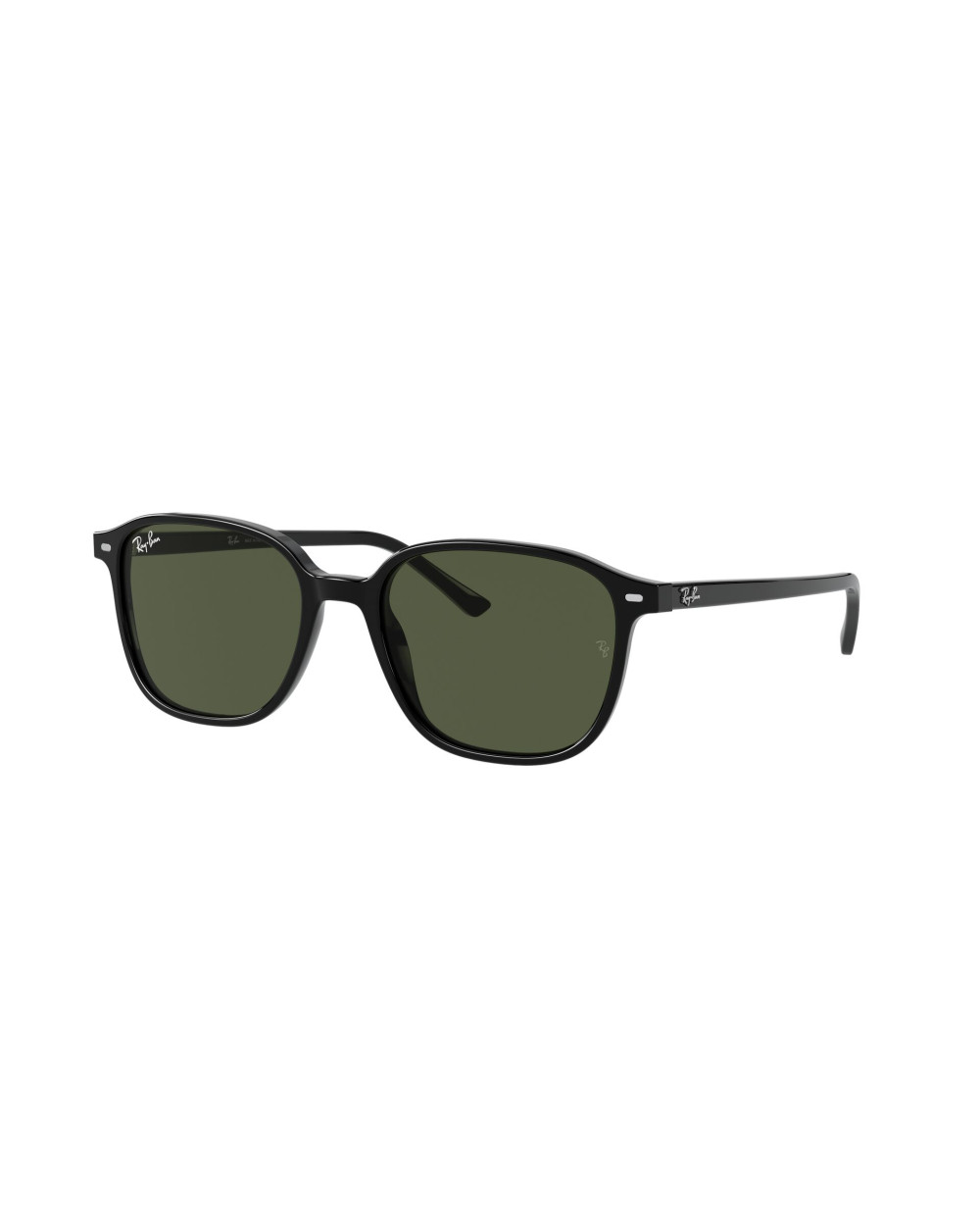Gafas de sol RB2193 LEONARD