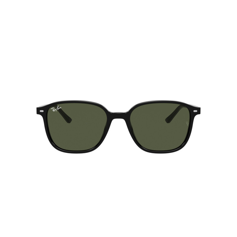 Gafas de sol RB2193 LEONARD