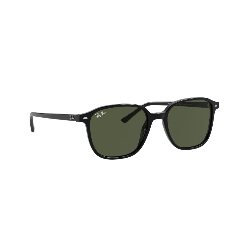 Gafas de sol RB2193 LEONARD