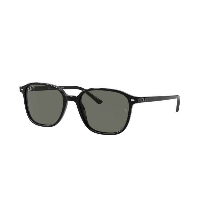 Gafas de sol RB2193 LEONARD
