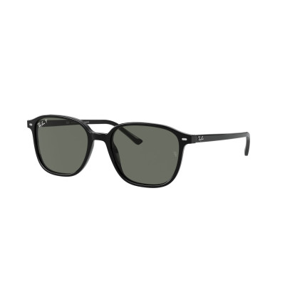 Gafas de sol RB2193 LEONARD