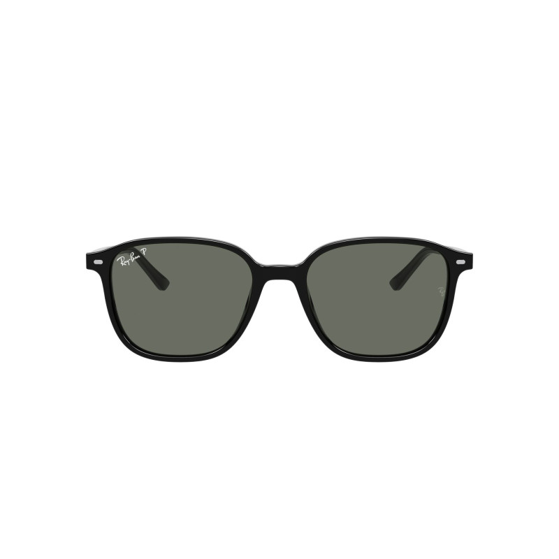 Gafas de sol RB2193 LEONARD