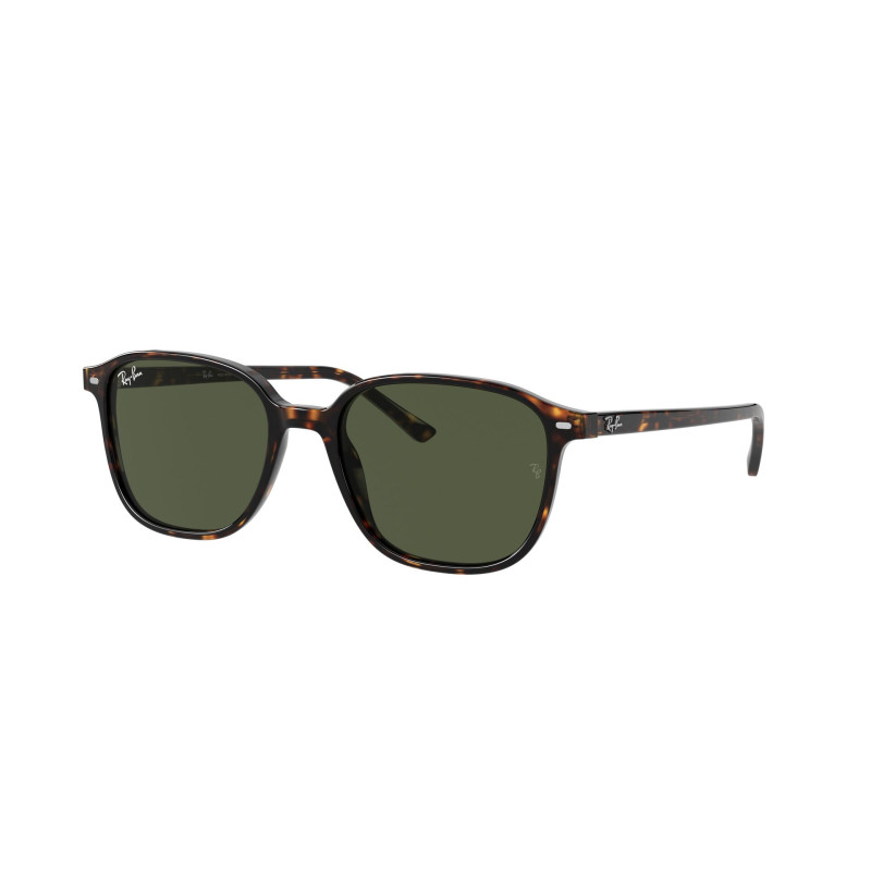 Gafas de sol RB2193 LEONARD
