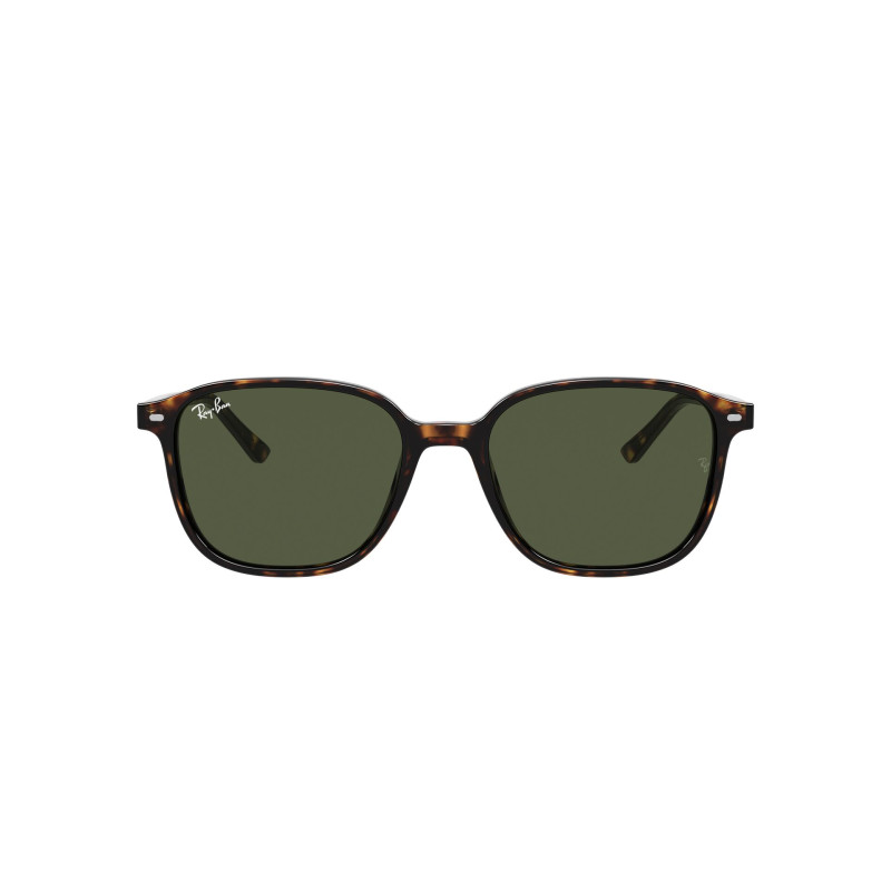 Gafas de sol RB2193 LEONARD